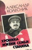 книга Хроника жизни семьи Сталина