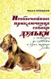 книга Необычайные приключения собаки Дульки с четверга до субботы в одно жаркое лето