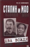 книга Сталин и Мао. Два вождя