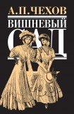 книга Вишневый сад