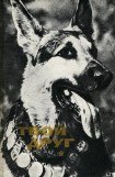 книга Твой друг (Сборник по собаководству, 1973 г.)