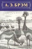 книга Жизнь животных, Том II, Птицы