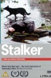 книга Stalker