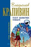 книга Прохождение Венеры по диску Солнца