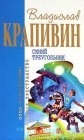 книга Синий треугольник