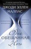 книга Одна обещанная ночь