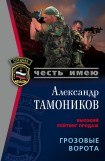 книга Грозовые ворота (Рота уходит в небо)