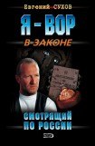 книга Смотрящий по России