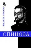 книга Спиноза