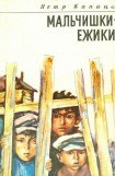 книга Мальчишки-ежики