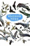 книга Весеннее небо