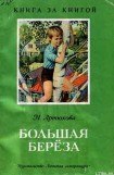 книга Большая береза (рассказы)