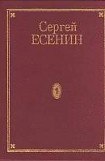 книга Том 7. Книга 1. Автобиографии, надписи и др