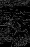 книга Зеленая веточка
