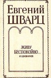 книга Из дневников