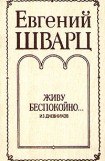 книга Из дневников