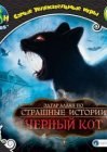 книга Черный кот