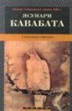 книга Снежная страна 2