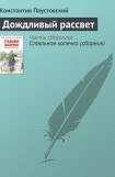 книга Дождливый рассвет