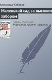 книга Маленький сад за высоким забором