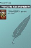 книга Чудесное приключение