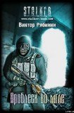 книга Проблеск во мгле