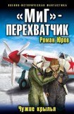 книга Чужие крылья 3