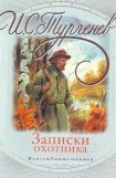 книга Уездный лекарь