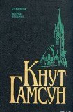 книга Местечко Сегельфосс