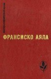 книга Встреча