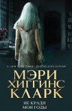 книга Не кради мои годы