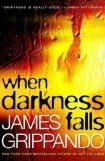 книга When Darkness Falls