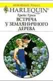 книга Встреча у земляничного дерева