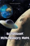 книга Волшебник мультяшного мира