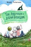 книга Три Андрюши и Добрый Волшебник