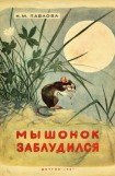 книга Мышонок заблудился