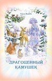 книга Драгоценный камушек