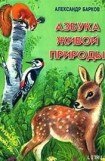 книга Беличий порядок