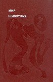 книга Рукокрылые, приматы, неполнозубые, панголины, зайцеобразные, грызуны, китообразные, ластоногие, трубкозубые, даманы, сирены и хоботные