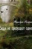 книга Беда не приходит одна