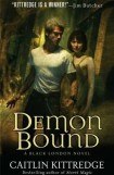 книга Demon Bound