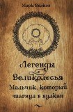 книга Мальчик, который шагнул в вулкан