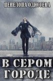 книга В сером городе