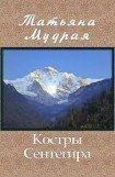 книга Костры Сентегира