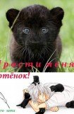 книга Прости меня, Котёнок!