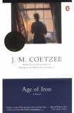 книга Age of Iron