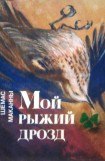 книга Мои рыжий дрозд