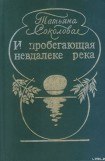 книга Легенда о стиральной доске