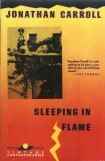 книга Sleeping in Flame