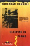 книга Sleeping in Flame